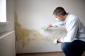 Best Real Estate Mold Inspection  in White Meadow Lake, NJ